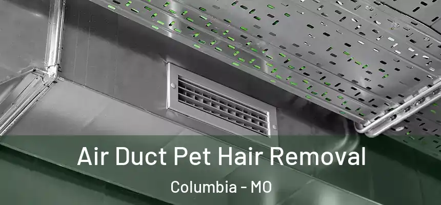 Air Duct Pet Hair Removal Columbia - MO