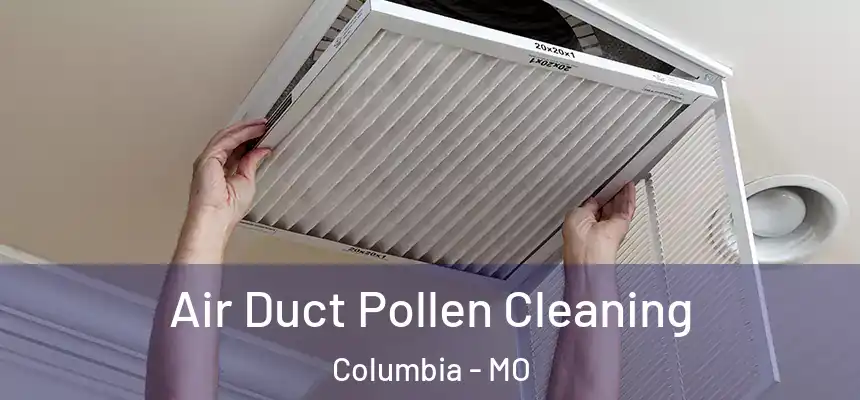 Air Duct Pollen Cleaning Columbia - MO