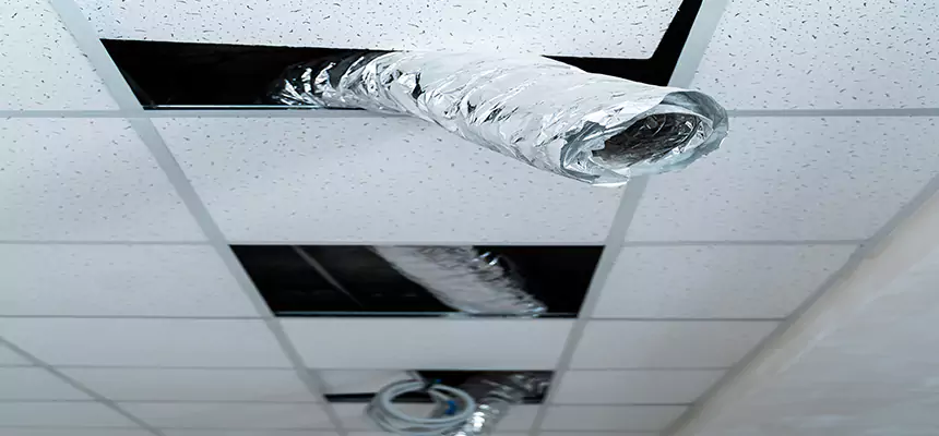 Our Air Duct Pet Hair Removal Services in Columbia, MO