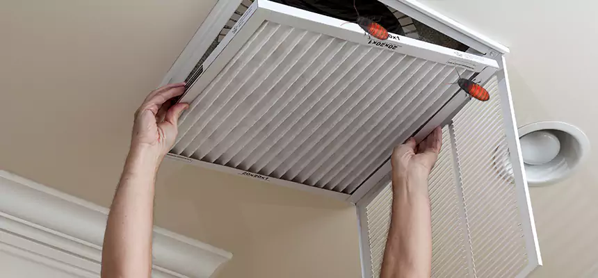 Our Insect Removal from Air Ducts Services in Columbia, MO