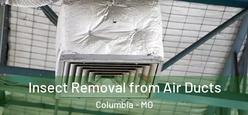Insect Removal from Air Ducts Columbia - MO