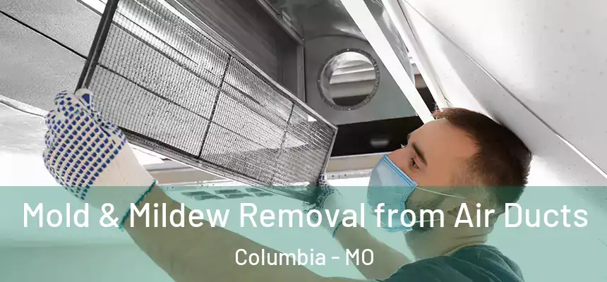 Mold & Mildew Removal from Air Ducts Columbia - MO