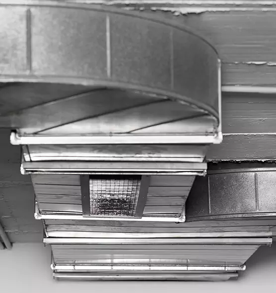 Professional Air Duct Pet Hair Removal in Columbia, MO