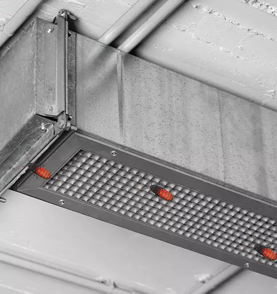 Affordable Insect Removal from Air Ducts in Columbia, MO