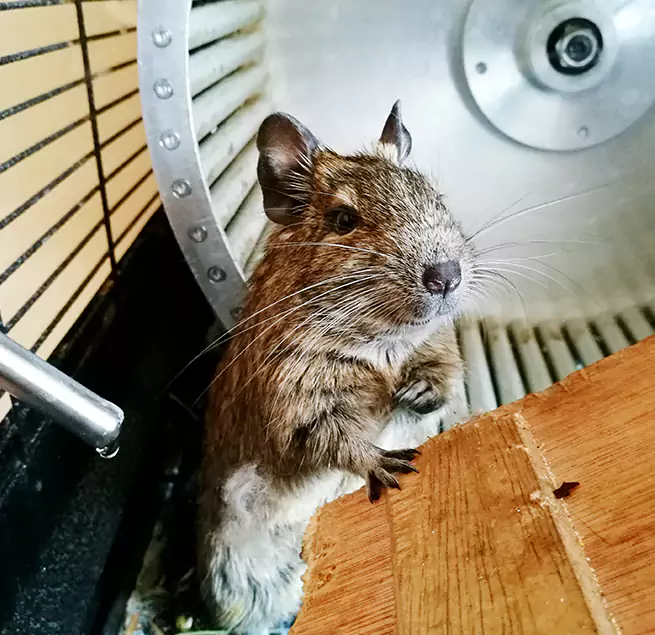 Why Homeowners & Businesses Trust Us Columbia, MO