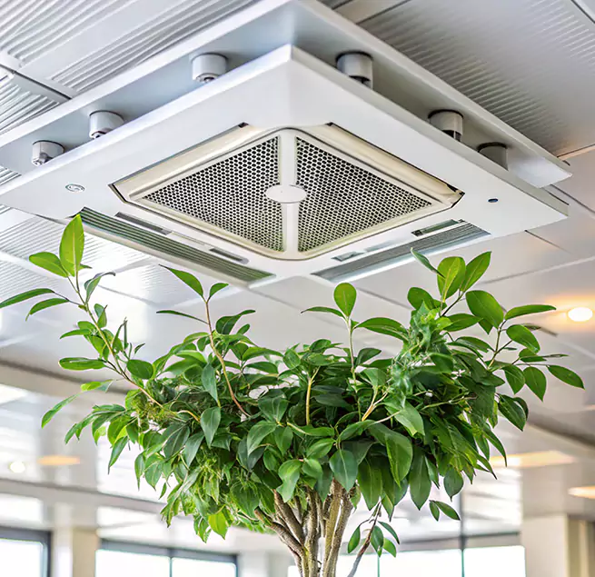 Why Homeowners & Businesses Trust Us in Columbia, MO